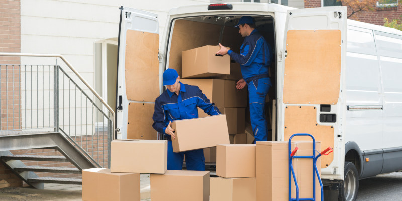 What Can Professional Movers Do For You?