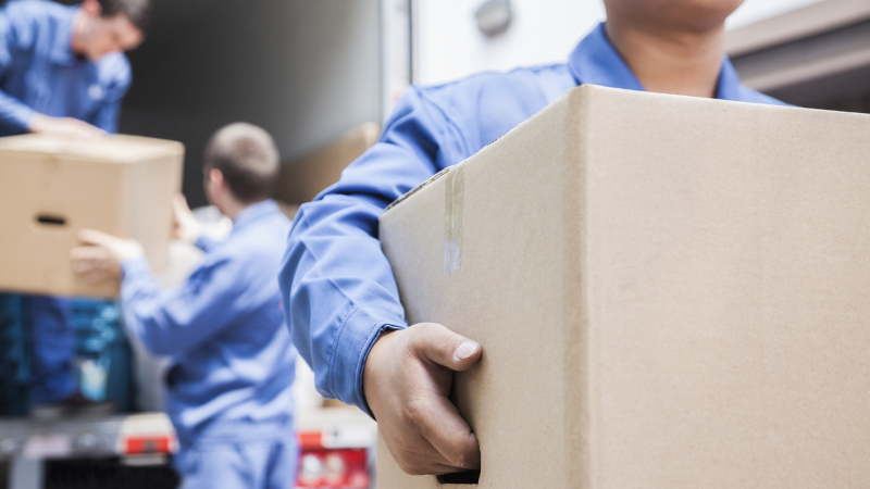 Your Guide to Professional Packing Services